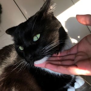 Meet your Posher, Sheila